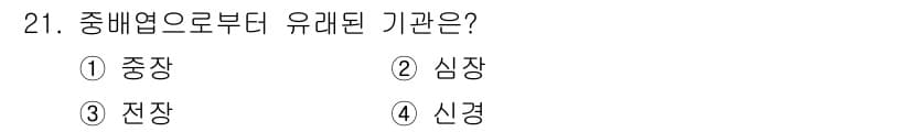 식물보호산업기사 2015년 21번 - . 심장

중배엽에서 유래된 기관으로는 심장, 혈관, 그리고 일부 조직이... 에 관한 핵심 기출문제
