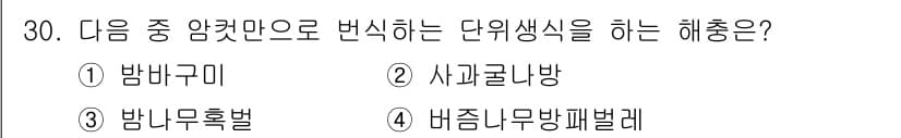 식물보호산업기사 2015년 30번 - 정답과 핵심 포인트를 검수 중인 기출문제