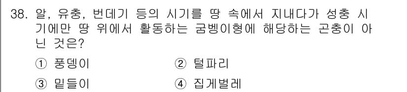 식물보호산업기사 2015년 38번 - 정답과 핵심 포인트를 검수 중인 기출문제