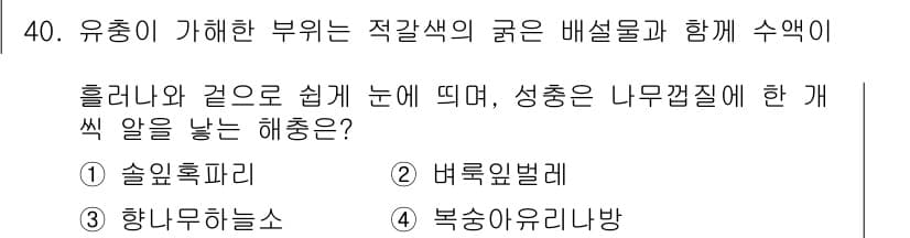 식물보호산업기사 2015년 40번 - 유충이 가해한 부위는 적갈색의 글루와 배설물로 덮여 있으며, 이는 유충의... 에 관한 핵심 기출문제
