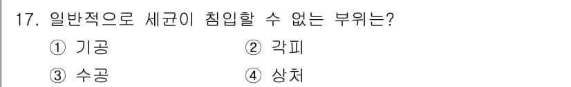 식물보호산업기사 2016년 17번 - 정답과 핵심 포인트를 검수 중인 기출문제