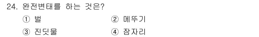 식물보호산업기사 2016년 24번 - 정답과 핵심 포인트를 검수 중인 기출문제