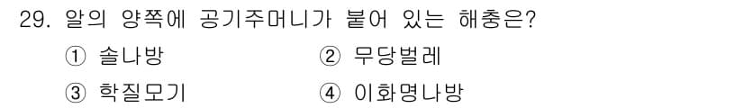 식물보호산업기사 2016년 29번 - 정답은 4번 '이화명나방'입니다. 이화명나방은 알의 양쪽에 공기주머니가 ... 에 관한 핵심 기출문제