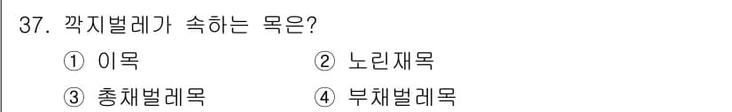 식물보호산업기사 2016년 37번 - . 이목. 

곱등이류로 알려진 깍지벌레는 식물의 이파리와 줄기에 호흡이... 에 관한 핵심 기출문제