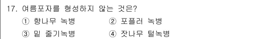 식물보호산업기사 2017년 17번 - . 잣나무 털병

여름철에 발생하는 병해 중 '잣나무 털병'은 주로 겨울... 에 관한 핵심 기출문제