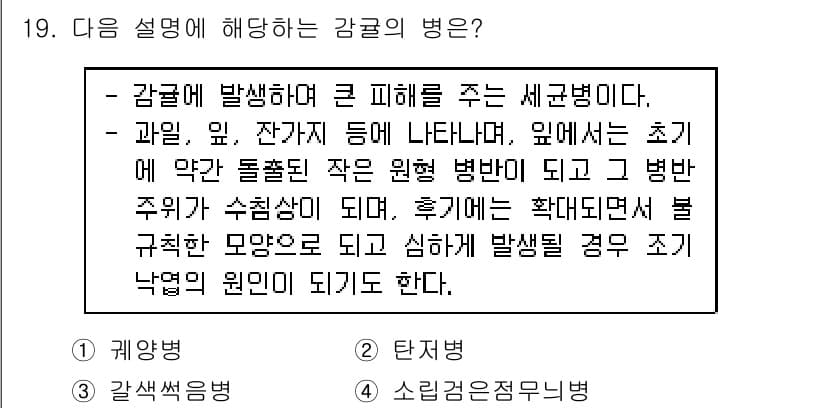 식물보호산업기사 2017년 19번 - 감귤의 병해는 주로 균류에 의해 발생하며, 초기에는 잎, 과일 등에 증상... 에 관한 핵심 기출문제