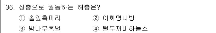 식물보호산업기사 2017년 36번 - . 솔잎혹파리

해설: 솔잎혹파리는 주로 솔잎에 기생하여 혹을 형성하며,... 에 관한 핵심 기출문제