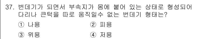 식물보호산업기사 2017년 37번 - 정답과 핵심 포인트를 검수 중인 기출문제