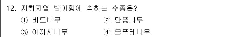 산림산업기사(구60문항) 2018년 12번 - 3. 아까시나무는 지하자엽 발아형에 속하는 수종입니다. 이 수종은 뿌리에... 에 관한 핵심 기출문제