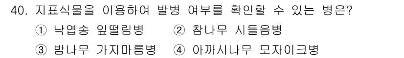 산림산업기사(구60문항) 2018년 40번 - 정답과 핵심 포인트를 검수 중인 기출문제