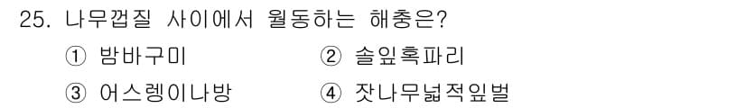 산림산업기사 2018년 25번 - 정답과 핵심 포인트를 검수 중인 기출문제