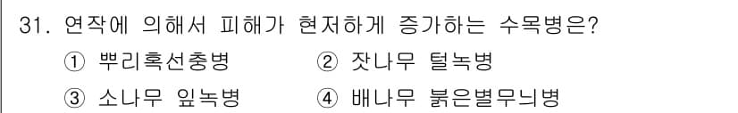 산림산업기사 2018년 31번 - 정답과 핵심 포인트를 검수 중인 기출문제