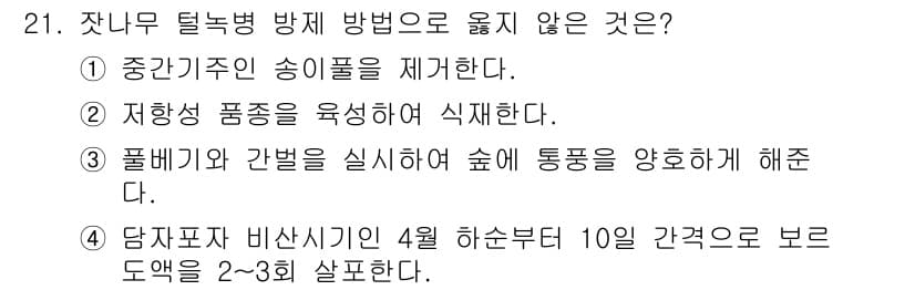 산림기사 2018년 21번 - . 

해설: 자니무 탈녹병은 주로 우선적으로 나무의 조직에 영향을 미치... 에 관한 핵심 기출문제