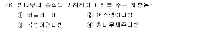 산림기사 2018년 26번 - 정답 5번(참나무재주나방)입니다. 이 해충은 밤나무의 수액을 빨아들여 성... 에 관한 핵심 기출문제