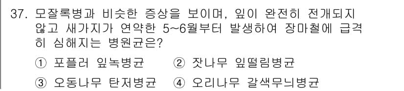 산림기사 2018년 37번 - 정답과 핵심 포인트를 검수 중인 기출문제