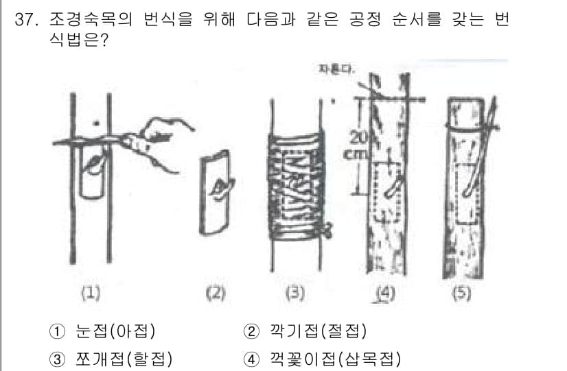 조경산업기사 2018년 37번 - 정답과 핵심 포인트를 검수 중인 기출문제
