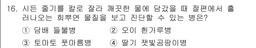 식물보호기사 2018년 16번 - 정답과 핵심 포인트를 검수 중인 기출문제