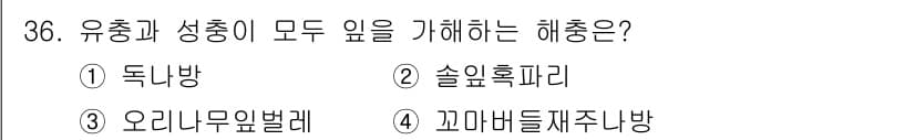 식물보호기사 2018년 36번 - 정답과 핵심 포인트를 검수 중인 기출문제