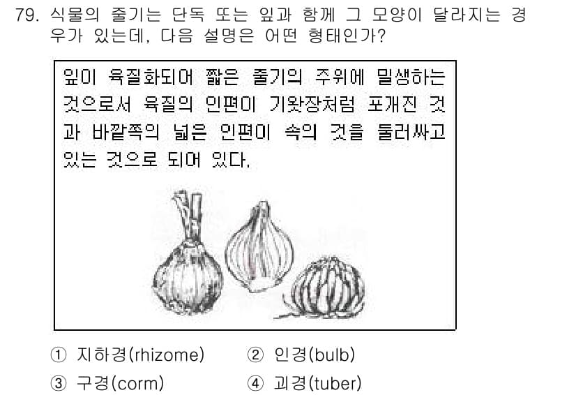 조경기사 2018년 79번 - 정답과 핵심 포인트를 검수 중인 기출문제