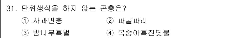 식물보호산업기사 2018년 31번 - 정답과 핵심 포인트를 검수 중인 기출문제
