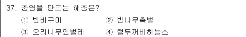 식물보호산업기사 2018년 37번 - . 틀두깨비하늘소

해설: 틀두깨비하늘소는 식물의 줄기나 뿌리에 갇혀 있... 에 관한 핵심 기출문제