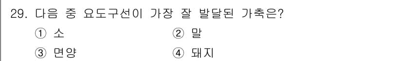 축산기사 2018년 29번 - . 면양  
면양은 고온과 저온에 대한 저항력이 강하며, 품종별로 우수한... 에 관한 핵심 기출문제