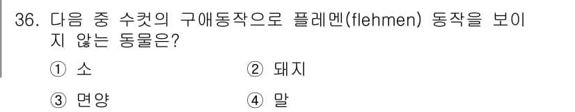 축산기사 2018년 36번 - 정답과 핵심 포인트를 검수 중인 기출문제