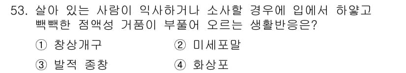 화재감식평가기사 2018년 53번 - 정답과 핵심 포인트를 검수 중인 기출문제