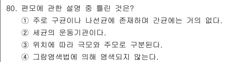 식품안전기사 2018년 84번 - 편모에 관한 설명 중 틀린 것은 4번입니다. 편모는 비브리오와 같은 세균... 에 관한 핵심 기출문제