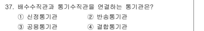 건축설비산업기사 2016년 37번 - 정답과 핵심 포인트를 검수 중인 기출문제