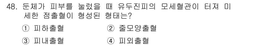 화재감식평가산업기사 2017년 48번 - 정답과 핵심 포인트를 검수 중인 기출문제