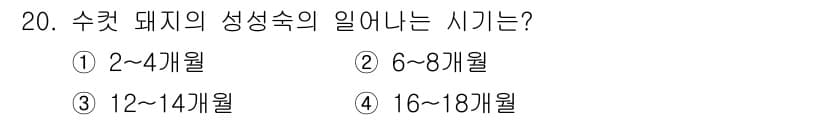 축산산업기사 2015년 20번 - 수컷 돼지의 성숙 속은 일반적으로 6개월에서 8개월 사이에 이릅니다. 이... 에 관한 핵심 기출문제