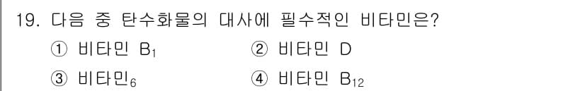 식품가공기능사 2015년 19번 - 비타민 B₁은 탄수화물 대사에 중요한 역할을 하는 필수 영양소입니다. 에... 에 관한 핵심 기출문제