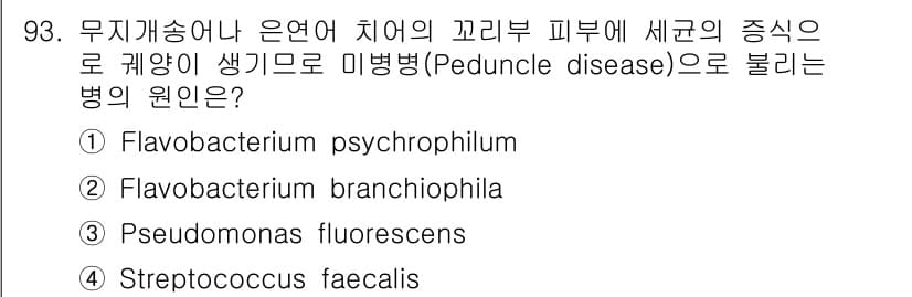 수산양식기사 2015년 93번 - Peduncle disease는 주로 Flavobacterium psyc... 에 관한 핵심 기출문제