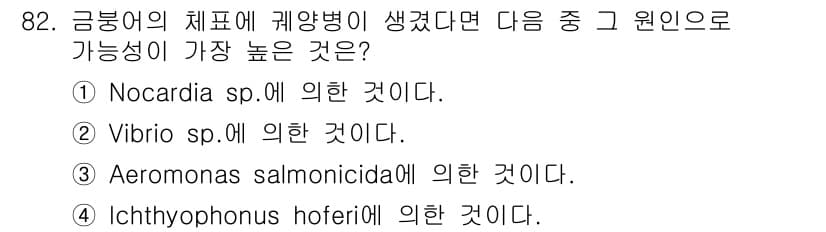 수산양식기사 2016년 82번 - 금붕어의 체표에 발생하는 계양병은 주로 환경적 요인이나 병원체에 의해 발... 에 관한 핵심 기출문제