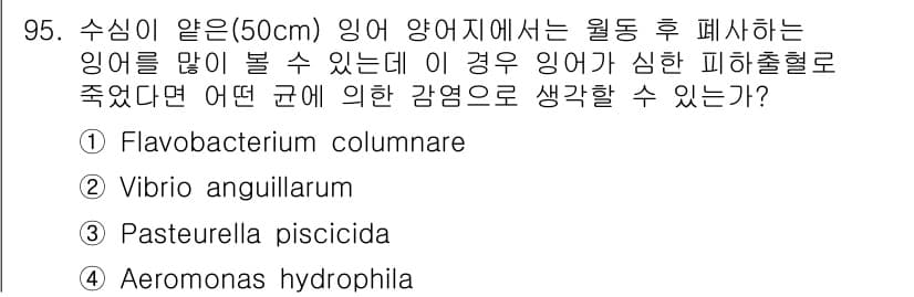 수산양식기사 2016년 95번 - 정답과 핵심 포인트를 검수 중인 기출문제