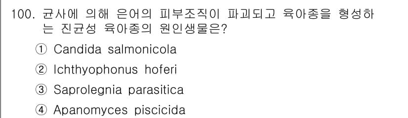 수산양식기사 2017년 102번 - 먼저 문제의 핵심 조건과 판단 기준을 차례대로 정리해야 합니다. 제시된 ... 에 관한 핵심 기출문제