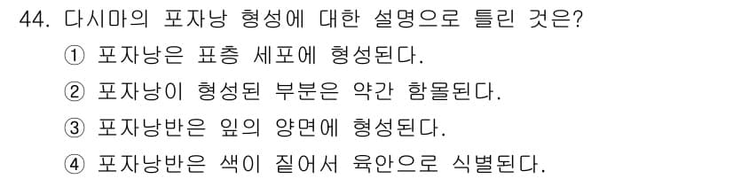 수산양식기사 2017년 46번 - . 

포자낭의 색은 유기물의 분해나 합성과 관련이 있으며, 이는 양식 ... 에 관한 핵심 기출문제