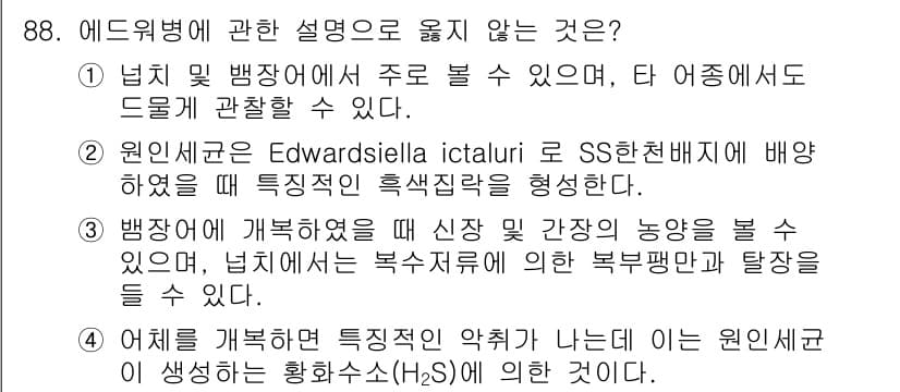 수산양식기사 2017년 90번 - . 에드워드새우는 SS천배지에 배양되면 특징적인 흡색질감을 형성하지 않는... 에 관한 핵심 기출문제