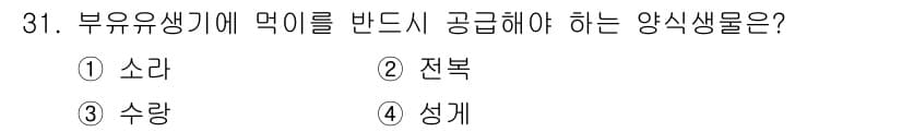 수산양식기사 2018년 31번 - 정답과 핵심 포인트를 검수 중인 기출문제