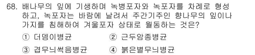 종자산업기사 2015년 68번 - . 붉은별무늬병

붉은별무늬병은 기생균이 배추의 잎에 영향을 미쳐 나타나... 에 관한 핵심 기출문제