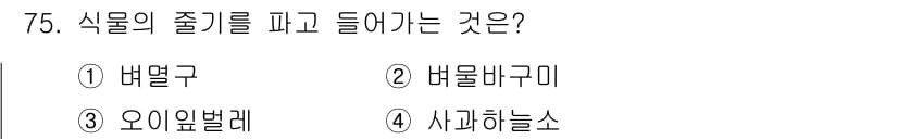 종자산업기사 2015년 75번 - 정답과 핵심 포인트를 검수 중인 기출문제