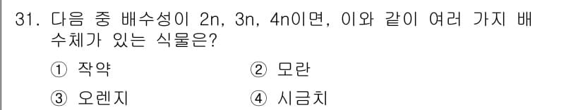 종자산업기사 2016년 31번 - 정답과 핵심 포인트를 검수 중인 기출문제