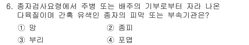 종자산업기사 2016년 6번 - 정답과 핵심 포인트를 검수 중인 기출문제