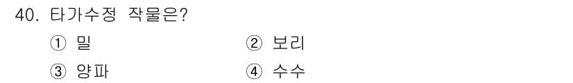 종자산업기사 2017년 40번 - 정답과 핵심 포인트를 검수 중인 기출문제