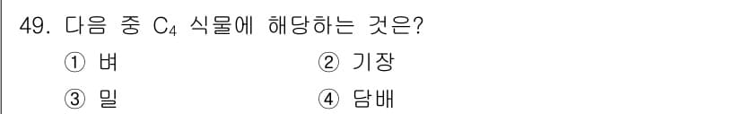 종자산업기사 2017년 49번 - 정답과 핵심 포인트를 검수 중인 기출문제