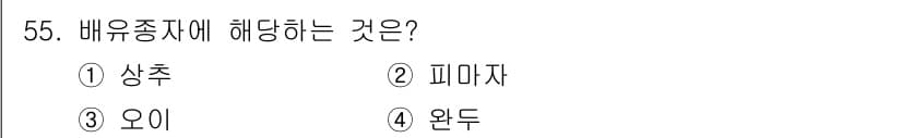 종자산업기사 2017년 55번 - 정답과 핵심 포인트를 검수 중인 기출문제