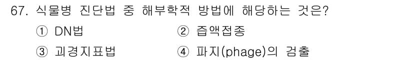 종자산업기사 2017년 67번 - 정답은 4번, 파지(phage)의 검출입니다. 식물병식별법 중 해부학적 ... 에 관한 핵심 기출문제