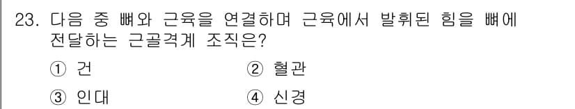 인간공학기사 2015년 23번 - . 근육의 힘이 뼈를 통해 힘을 전달하기 때문에 뼈가 근골격계의 주요 구... 에 관한 핵심 기출문제