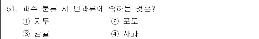 손해평가사 2017년 51번 - 정답과 핵심 포인트를 검수 중인 기출문제